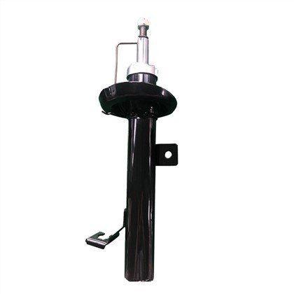 D57134900 Ammortizzatore