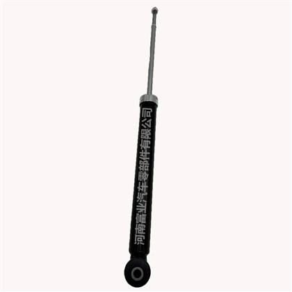 55300- f 0000 55310- f 2500 3430060 Assorbitore di shock per Hyundai elantra e i 30